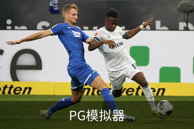 PG模拟器公司环境